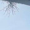 Фото профиля cancelll