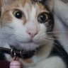 Mustard3's profile picture