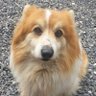 Profilbild von marin