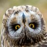 Russ Ramirez profil fotoğrafı