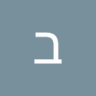 בני לוי's profile picture
