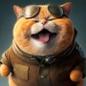 虎猫🇨🇳 profil fotoğrafı