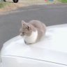 1yuki7 profil fotoğrafı