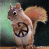 LouLou's profile picture