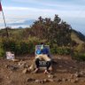 Pejalan santai's profile picture