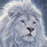 ODUNDUN™️🦁⚓️🚢♉️ 的头像