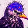 Starling 的头像