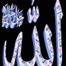 وليد محمداحمد profil fotoğrafı