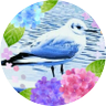 かもめ's profile picture