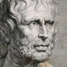 Seneca's profile picture