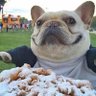 Jake's profile picture