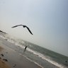 قلب صافي. صنعآ profil fotoğrafı