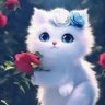 Hadeer Shaban's profile picture