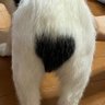 Profilbild von ねこくん