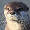 Profilbild von Kieran