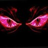 Neo's profile picture