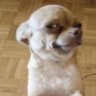 Profilbild von jmann_