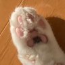 かこかこ's profile picture