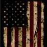 The Real Impartialist American profil fotoğrafı
