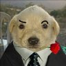 Bruno Gabriel profil fotoğrafı