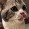 Profilbild von 越野熊猫