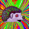 Фото профиля Gogu