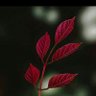 Фото профиля Traveler