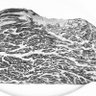 Фото профиля Twesley4521