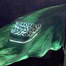 Фото профиля 🎖️ABDALAZIZ
