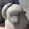 如水円清's profile picture
