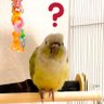 Фото профиля ぬんちゅみ