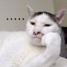 Profilbild von 지루한