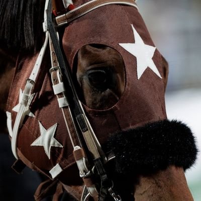 tck_watanabe's profile picture