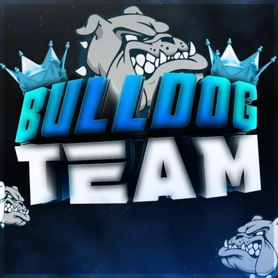 👑 BULLDOG TEAM 👑's profile picture