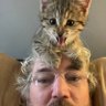 Michael profil fotoğrafı