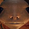 Profilbild von Albinaurics