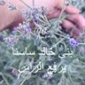 A.M.Alkhudher.911 profil fotoğrafı