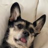 Profilbild von pdarr