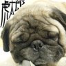 こんぶ's profile picture