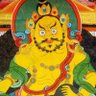 Profilbild von Tenzin Losel