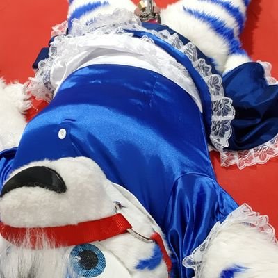 Egnur Tiger🔗⛓️🔑🔞's profile picture