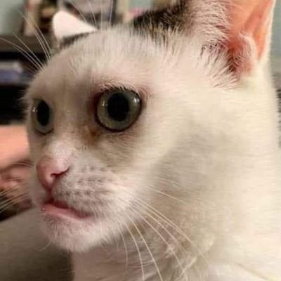 KWEENless EMEROT's profile picture