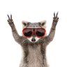 Profilbild von Ен'нот 🦝