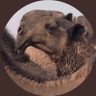  الـعـونـي 🎖🐪 profil fotoğrafı