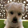 edu_toby profil fotoğrafı