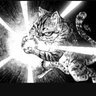 poppercat profil fotoğrafı
