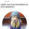 jose gregorio delon profil fotoğrafı