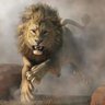 Aslan Bey 🦁's profile picture
