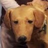 Rowdy🇺🇦🇨🇦🇪🇺's profile picture