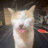 soosbi's profile picture